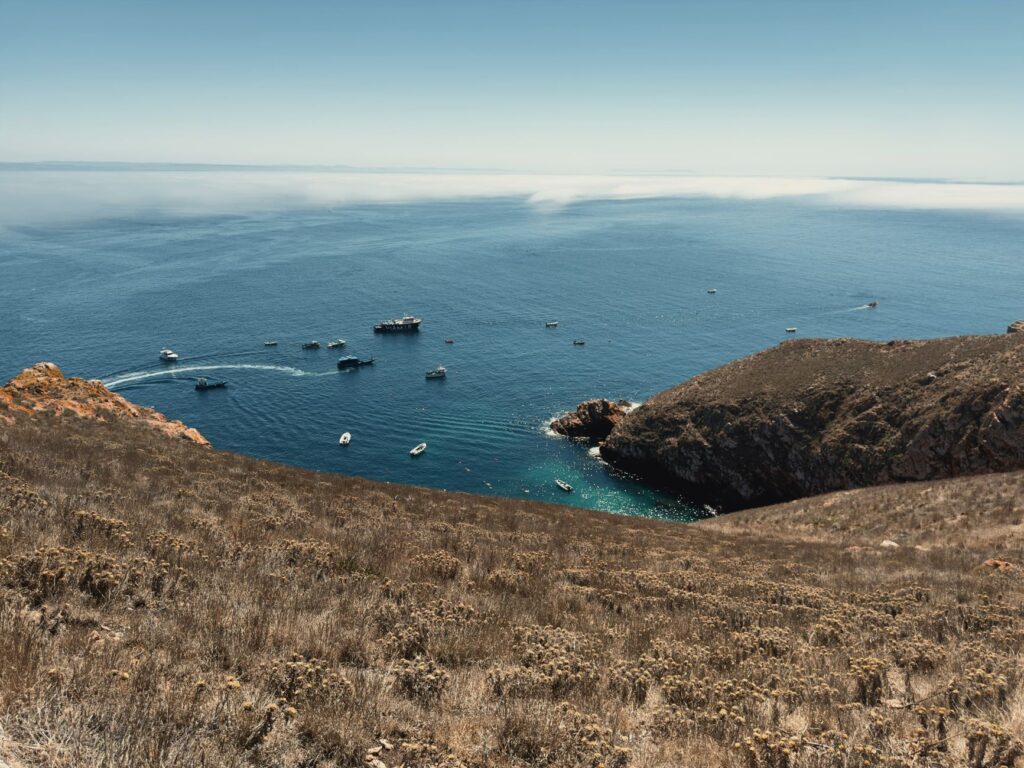 El refugio de la foca monje en las islas Desertas: oceanografía, corrientes atlánticas y conservación en los abismos macaronésicos