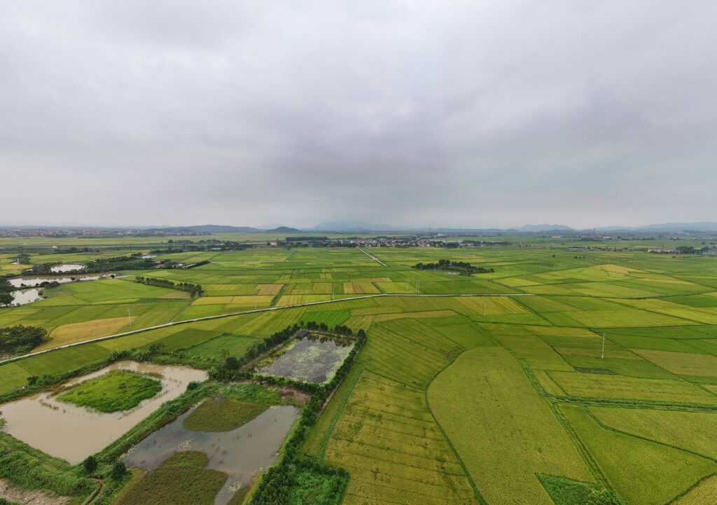 El despertar de Kinh Bac: Bac Ninh reinventa sus rutas para liderar el turismo cultural en Vietnam
