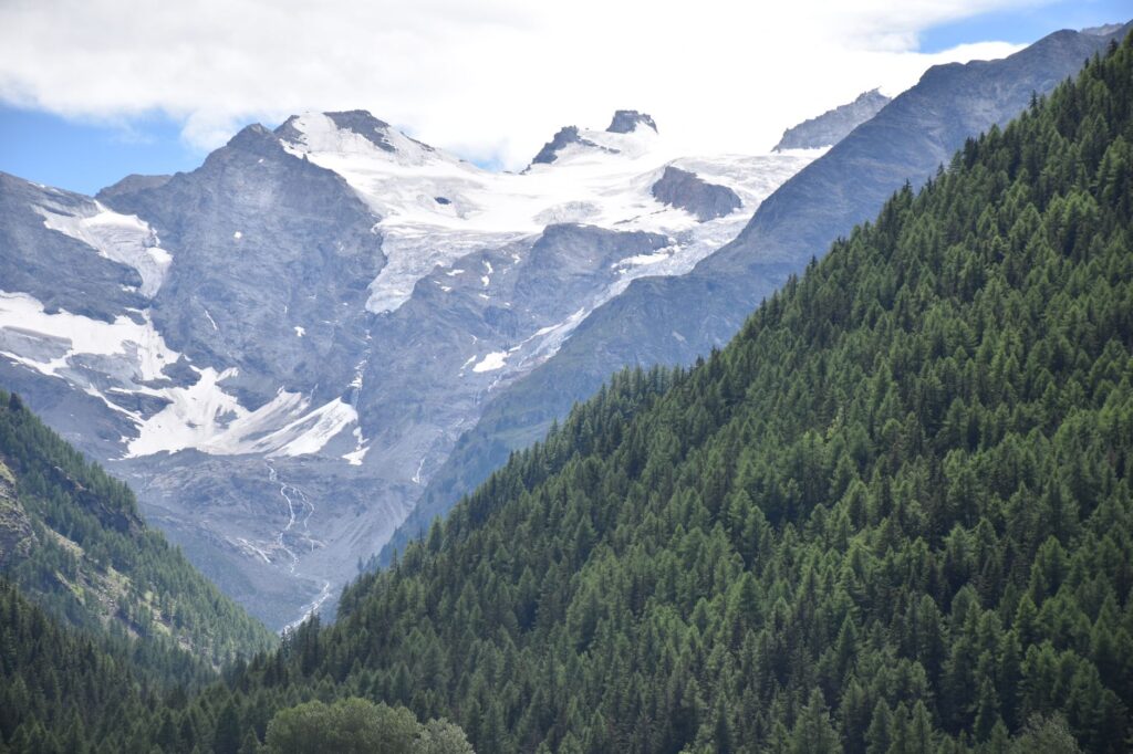 El laberinto alpino del Bernina: trenes panorámicos, pendientes imposibles y la frágil ingeniería de los pasos transfronterizos