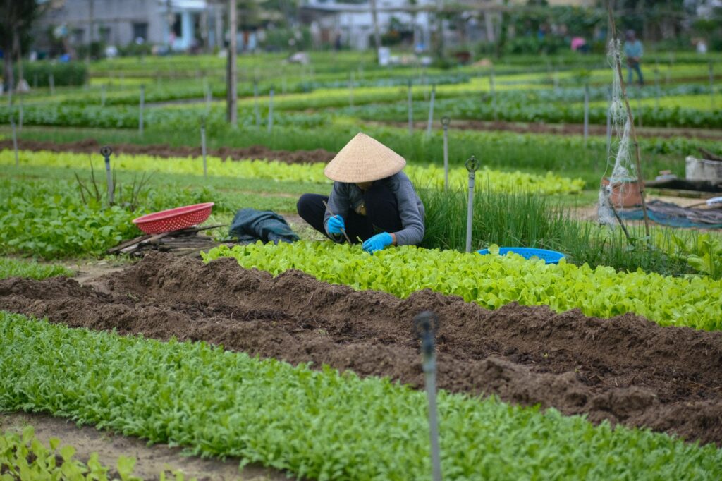 El latido verde de Huế: cómo la antigua capital imperial redefine el ecoturismo en Vietnam