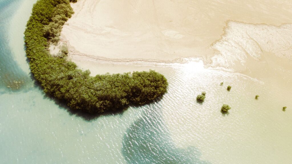 El laberinto intermodal del archipiélago de las Bisagos: piraguas de tronco, barcazas de marea y la frágil conectividad de un santuario atlántico