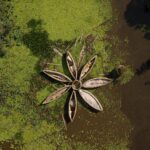 El laberinto intermodal del delta del Okavango: barcazas de madera, pistas anegadas y la frágil conectividad de un confín anfibio