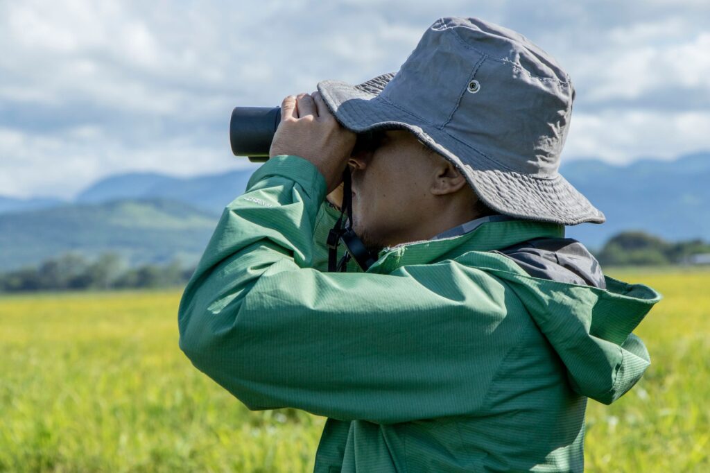 El Reino del Oso Pardo en la Cordillera Cantábrica: Biología, Ecoturismo y Coexistencia