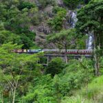 El laberinto de hierro del Ferrocarril de la Jungla de Kuranda: Ingeniería tropical, selva milenaria y la movilidad anfibia de Queensland