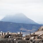El laberinto intermodal del archipiélago de las islas Furneaux: goletas de marea, pistas de rocas y la frágil conectividad de un confín de Bass