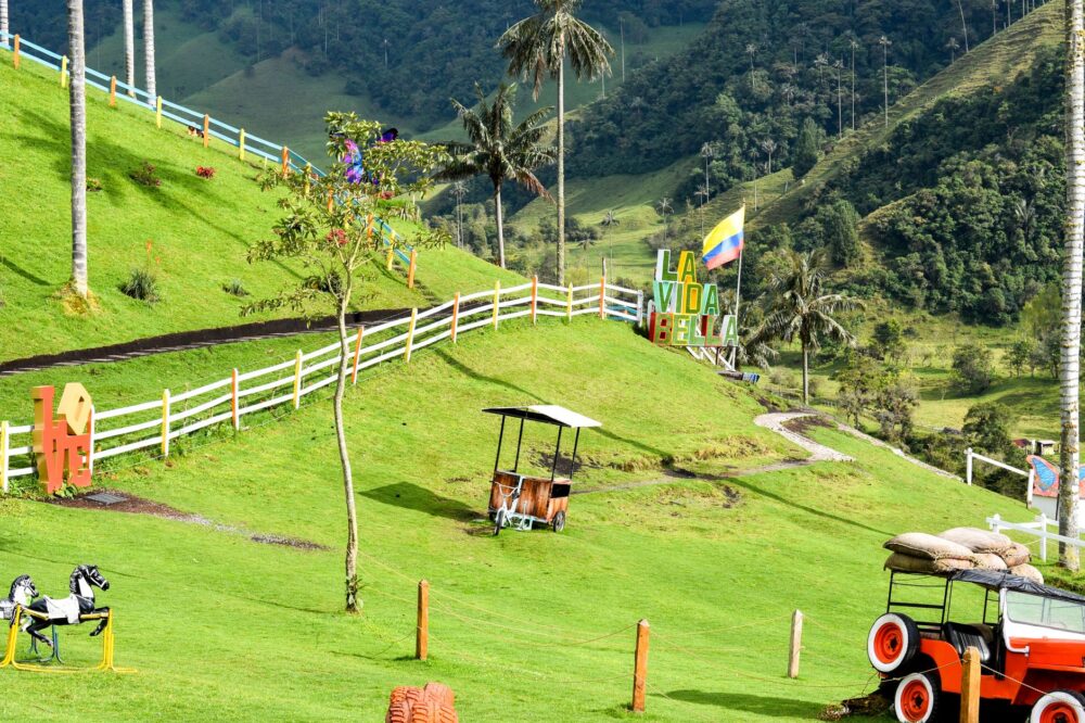 El Ferrocarril de la Selva Central: Ingeniería de Valles Abruptos, Logística Cafetera y la Conectividad Ferroviaria en el Perú Profundo