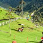 El Ferrocarril de la Selva Central: Ingeniería de Valles Abruptos, Logística Cafetera y la Conectividad Ferroviaria en el Perú Profundo