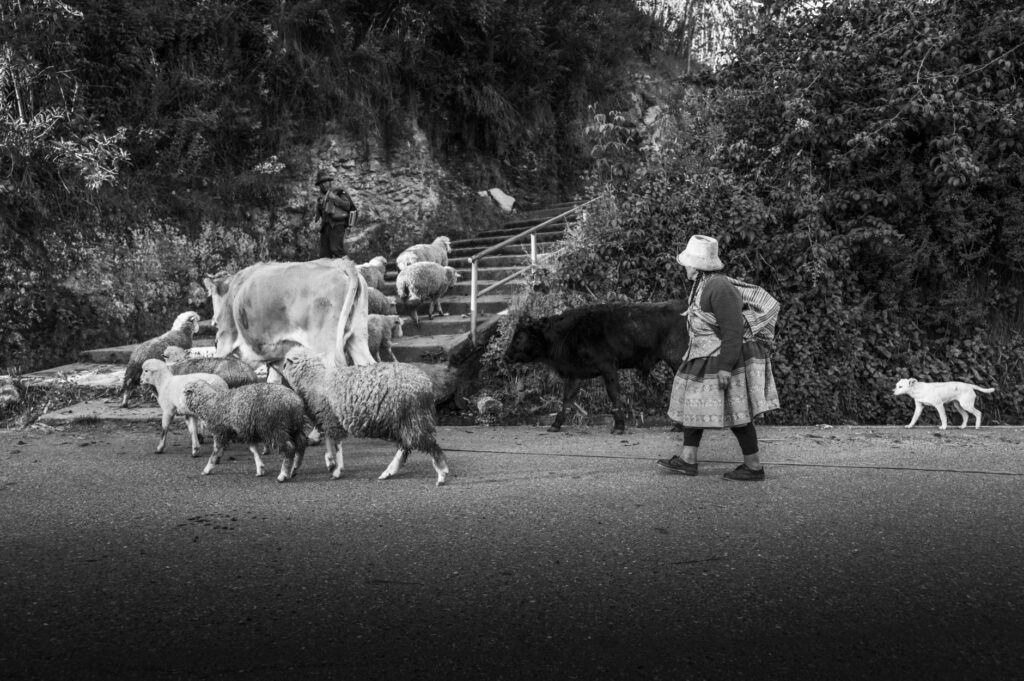 El latido mineral del Geoparque de Sobrarbe: cómo la movilidad sostenible y los antiguos caminos ganaderos transforman el transporte en el Pirineo aragonés