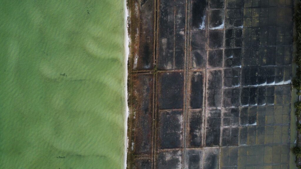 El silencio magnético de las marismas de Guérande: ingeniería salinera y arquitectura de granito en la Bretaña atlántica