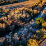 El latido secreto del ferrocarril de la Selva Negra: ingeniería férrea y el pulso forestal entre abetos y desfiladeros