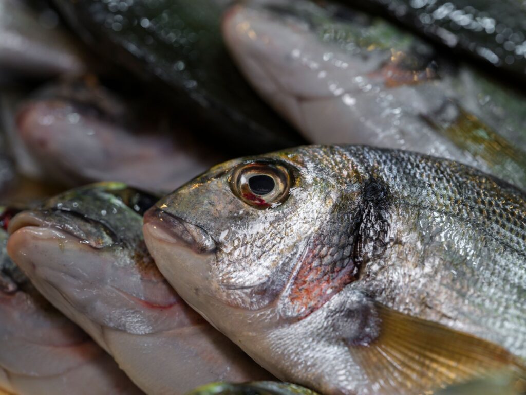 El secreto del granito y la brisa: la liturgia del Mercado Central de Vigo y los tesoros de las Rías Baixas