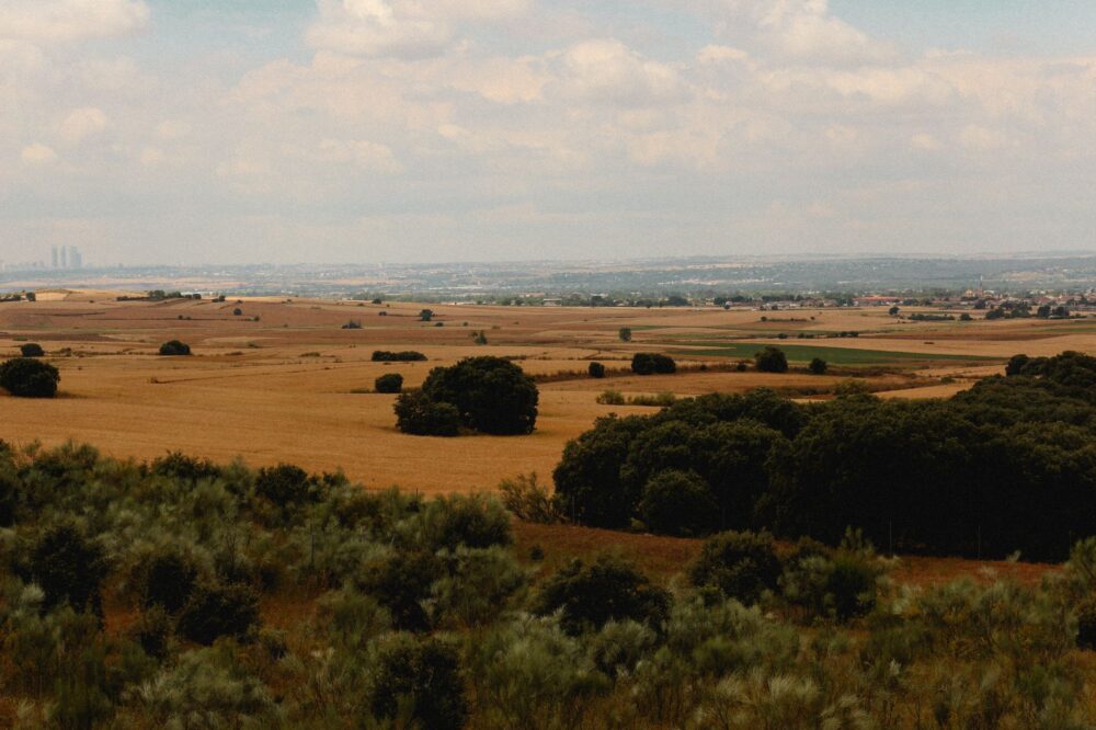 El éxodo interior: geografía íntima de los horizontes madrileños