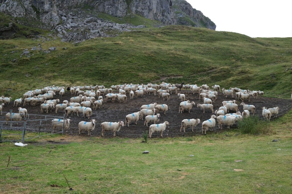 La Travesía del Sendero de GR 10 en los Pirineos: Guía de Expedición y Senderismo por la Columna Vertebral de Francia