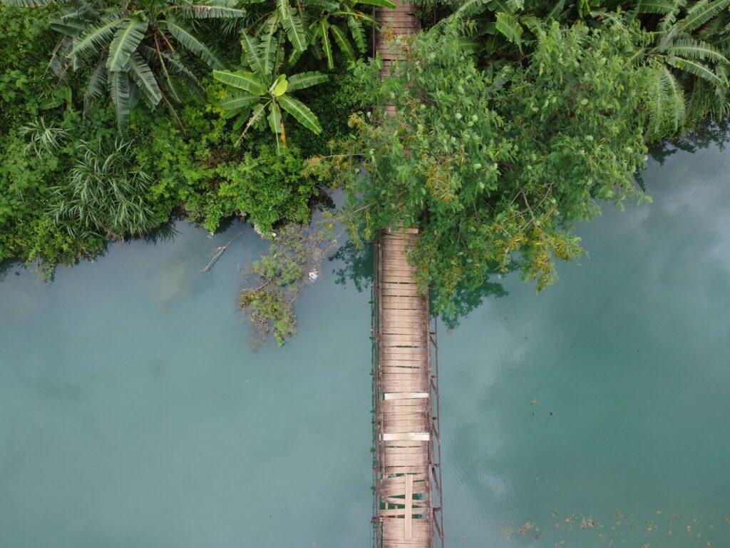 Santuario en la espesura: el nuevo despertar de las selvas y montañas de Belice