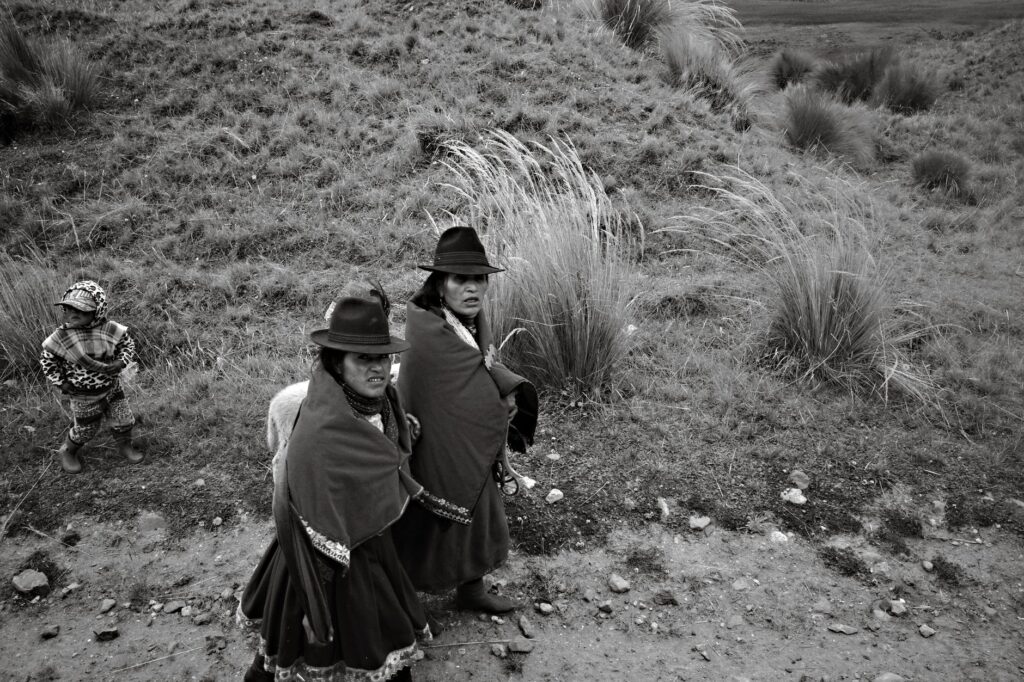 El refugio del cóndor andino en el Parque Nacional El Cocuy: biología de altura, termorregulación y conservación en los paredones de Boyacá