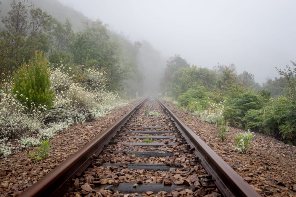 El laberinto de hierro y matorral: La odisea logística del tren de las tierras altas de Tasmania