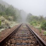 El laberinto de hierro y matorral: La odisea logística del tren de las tierras altas de Tasmania