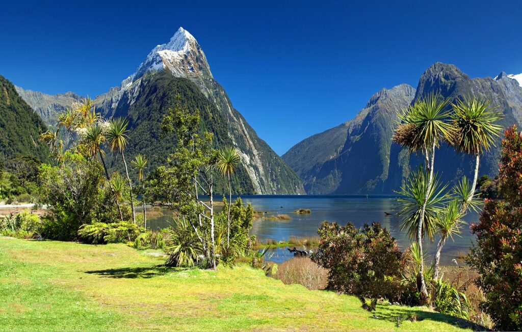 El latido intermodal de la región de los fiordos de Milford Sound: Barcos de travesía, carreteras de desfiladero y la frágil conectividad de la costa meridional de Nueva Zelanda