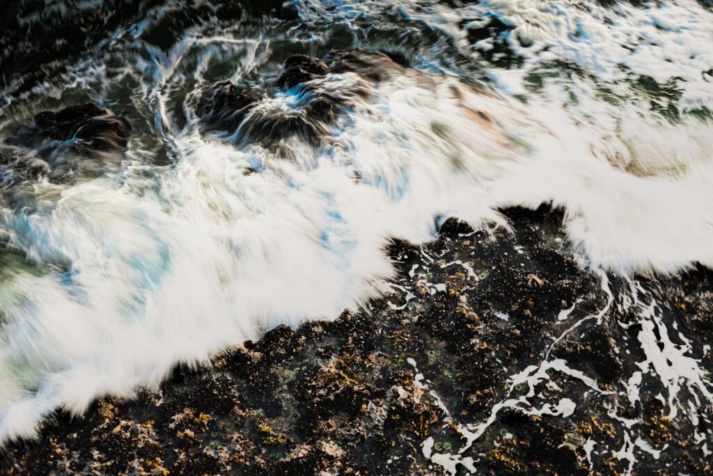 La Travesía del Sendero West Coast Trail en la Isla de Vancouver: Guía de Expedición y Senderismo por los Acantilados y Playas Salvajes del Pacífico
