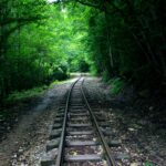 El Ferrocarril del Cáucaso Sur: Ingeniería de gargantas, logística transfronteriza y la conectividad ferroviaria histórica entre Tiflis y Ereván