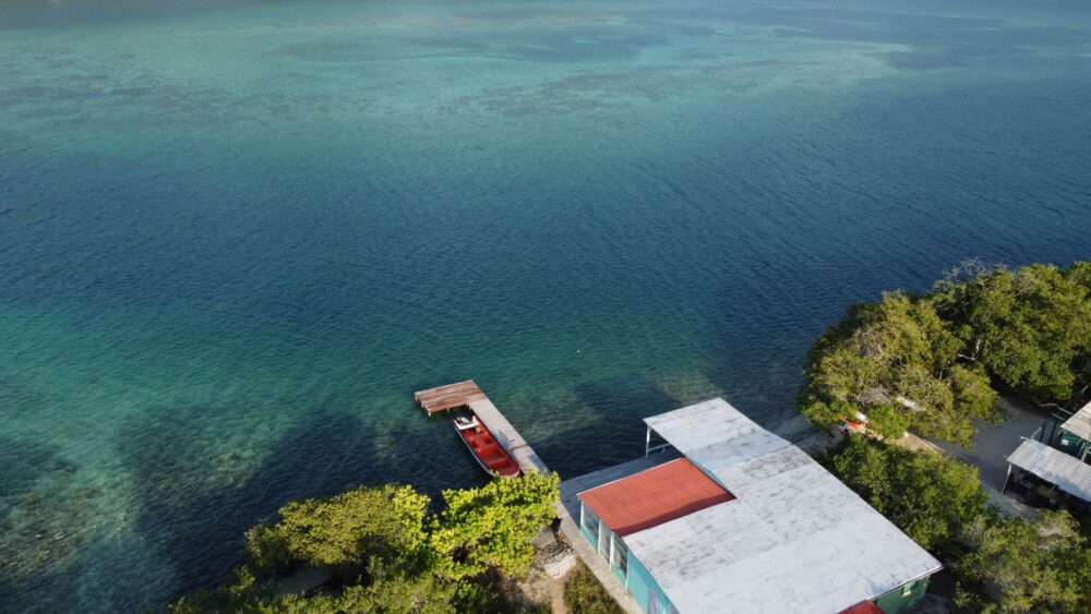 El latido meridional del archipiélago de las Guayanas: Canales de manglar, piraguas de estuario y la conectividad anfibia de la costa guayanesa