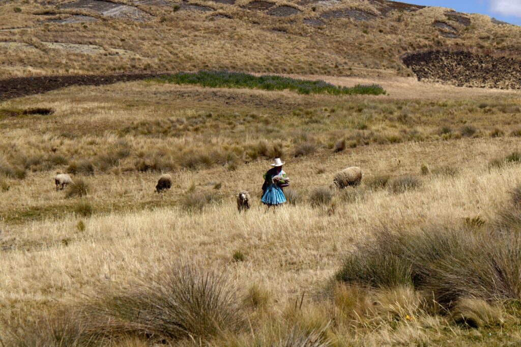 Río Negro redibuja su horizonte viajero: tecnología e identidad para integrar la inmensidad patagónica