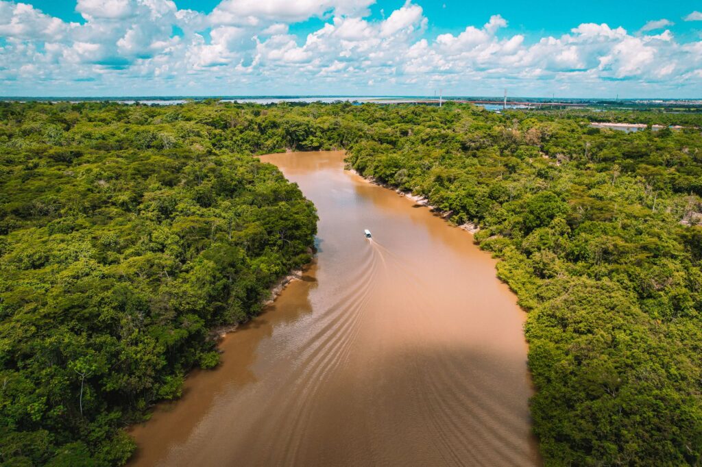 El refugio del delfín rosado en la Reserva Nacional Pacaya Samiria: ecología fluvial y conservación en la Amazonía peruana