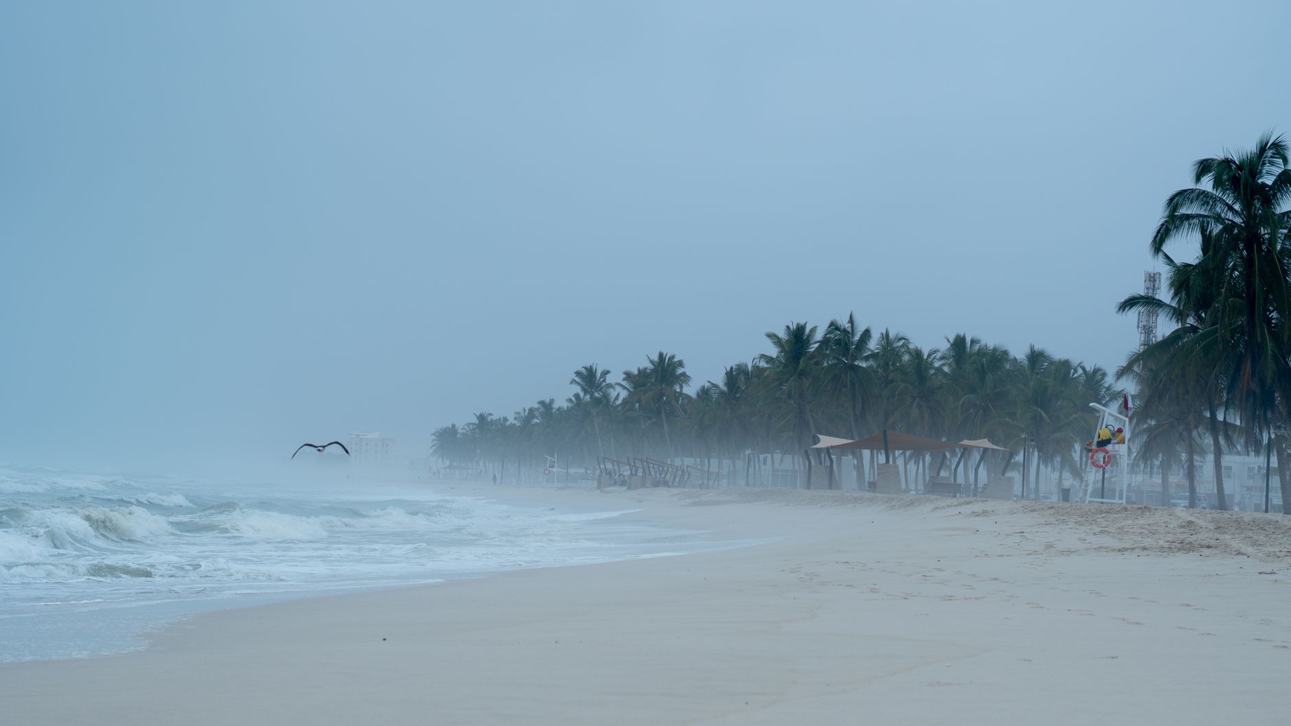 El colapso en Florida: Cuando el clima extremo y la mecánica desafían los cielos