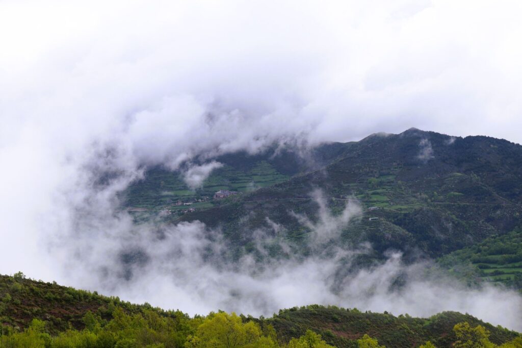 El Refugio del Oso Pardo en la Cordillera Cantábrica: Biología, Corredores Ecológicos y Conservación en el Norte de España