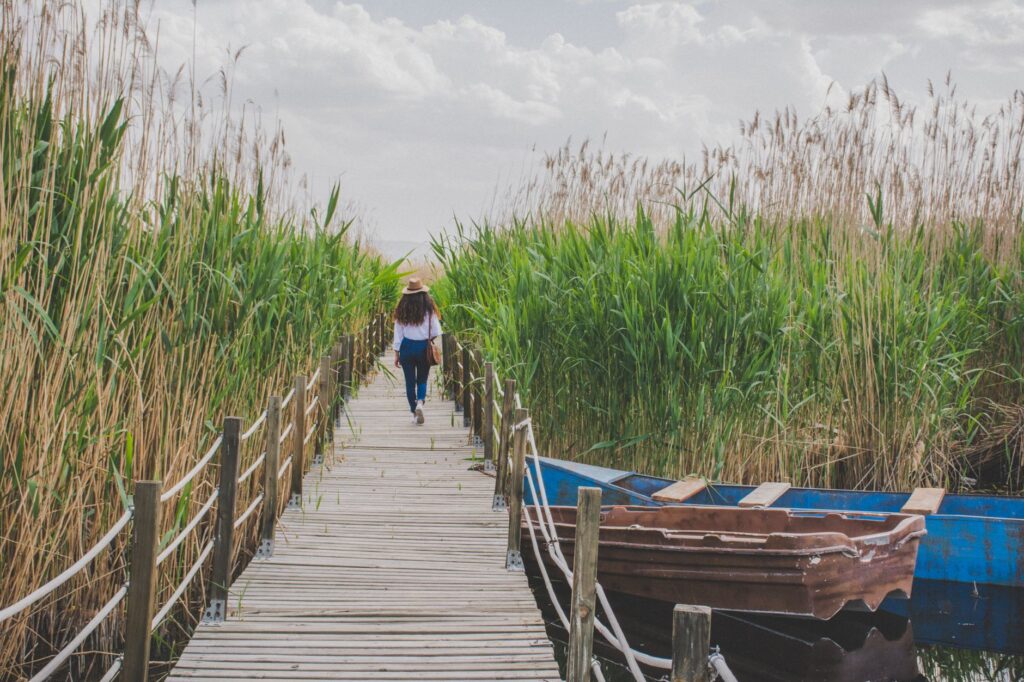 El latido de los humedales interiores: cómo la bioingeniería y los pastueños comunales transforman la conservación en la Albufera de Valencia