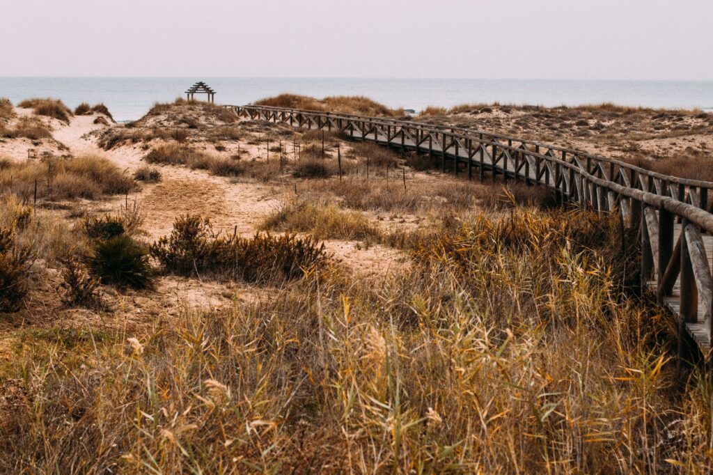 Esposende, el archivo atlántico de la modernidad portuguesa