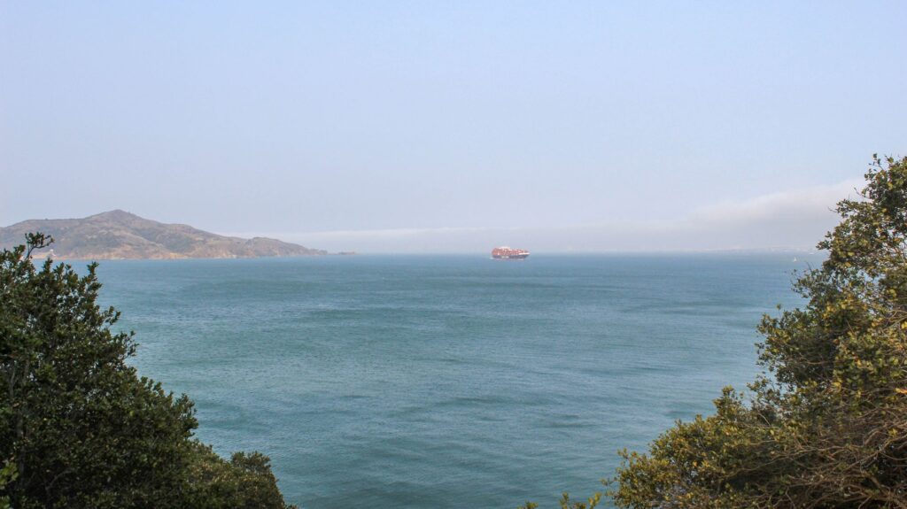 El laberinto intermodal de las islas Chatham: Carga marítima, aviación de hierba y la frágil conectividad del archipiélago austral
