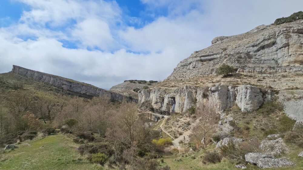 El refugio del águila real en las alturas de los Picos de Europa: biología, termorregulación y conservación en los paredones de León y Asturias