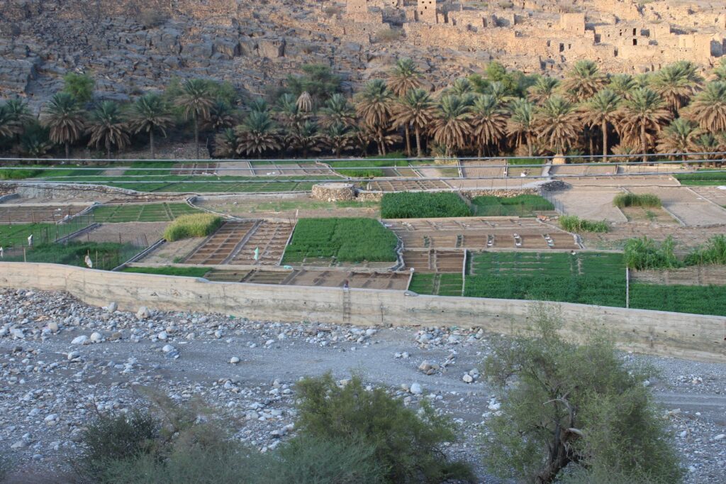 El laberinto intermodal de los wadis de Omán: camiones todoterreno, pistas de grava y la frágil conectividad de los cañones de Al Hajar
