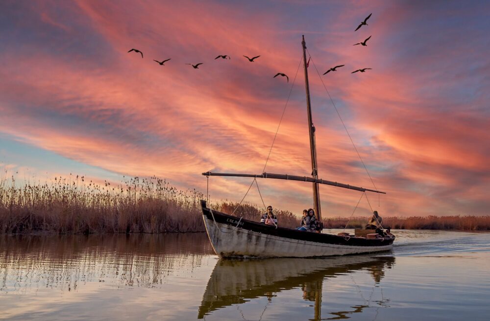 El latido de los humedales interiores: cómo la bioingeniería y los pastueños comunales transforman la conservación en la Albufera de Valencia