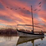 El latido de los humedales interiores: cómo la bioingeniería y los pastueños comunales transforman la conservación en la Albufera de Valencia