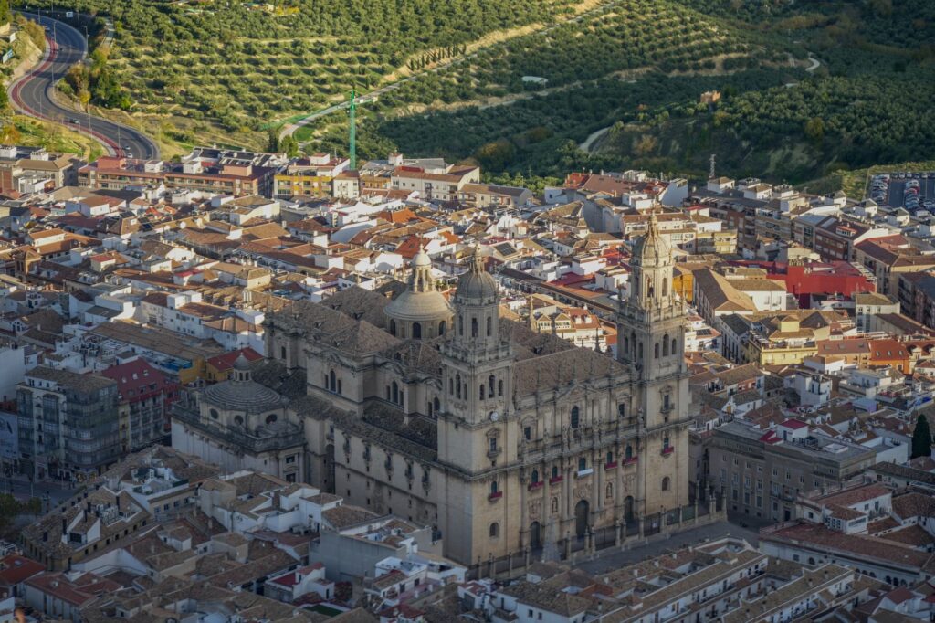 El oro líquido del olivar milenario: el viaje del aceite de oliva virgen extra en la campiña de Jaén