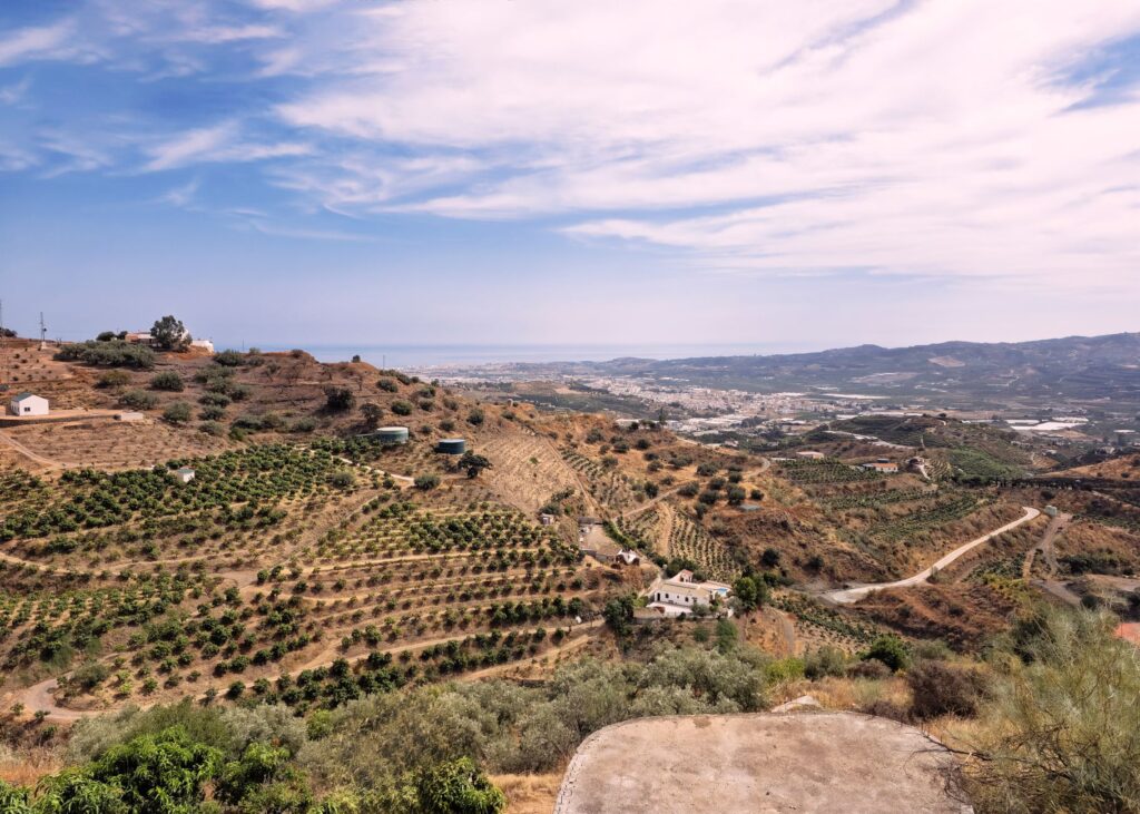 Torrox: El refugio térmico de la península donde el invierno es solo una estación en el calendario