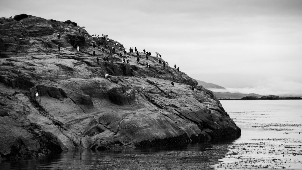 El laberinto de las mareas de Bruny Island: transbordadores, istmos de arena y la frágil conectividad insular de Tasmania