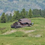 El refugio de la gamuza alpina en el Parque Nacional del Gran Paradiso: ecología nival y conservación en los macizos italianos