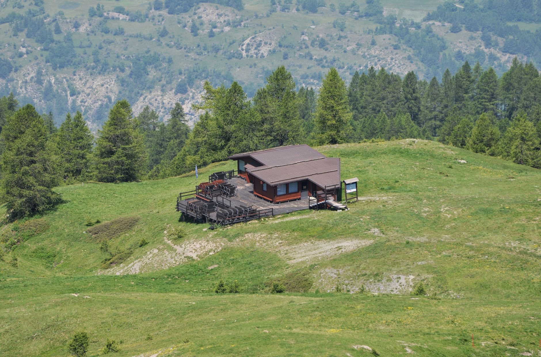 El refugio de la gamuza alpina en el Parque Nacional del Gran Paradiso: ecología nival y conservación en los macizos italianos