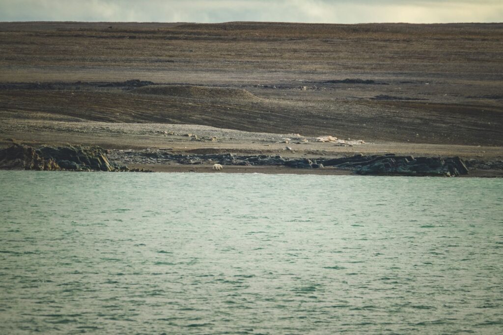 La Travesía del Archipiélago de las Svalbard en Crucero de Expedición: Guía de Navegación y Logística Polar por el Dominio del Oso Polar