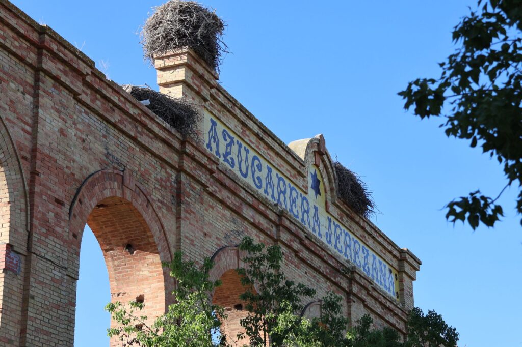 El Renacimiento de la Cerámica de Sargadelos: Caolín, Cobalto y Memoria en los Montes de Cervo