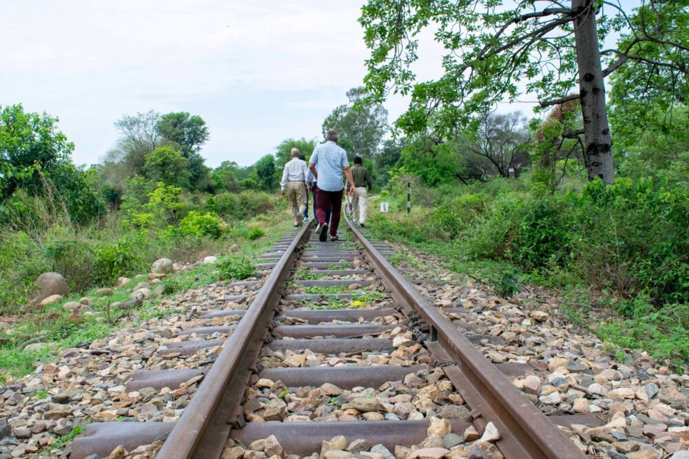 El latido del Gran Ferrocarril de la Libertad: Ingeniería, sabana y la memoria del Tazara entre Tanzania y Zambia