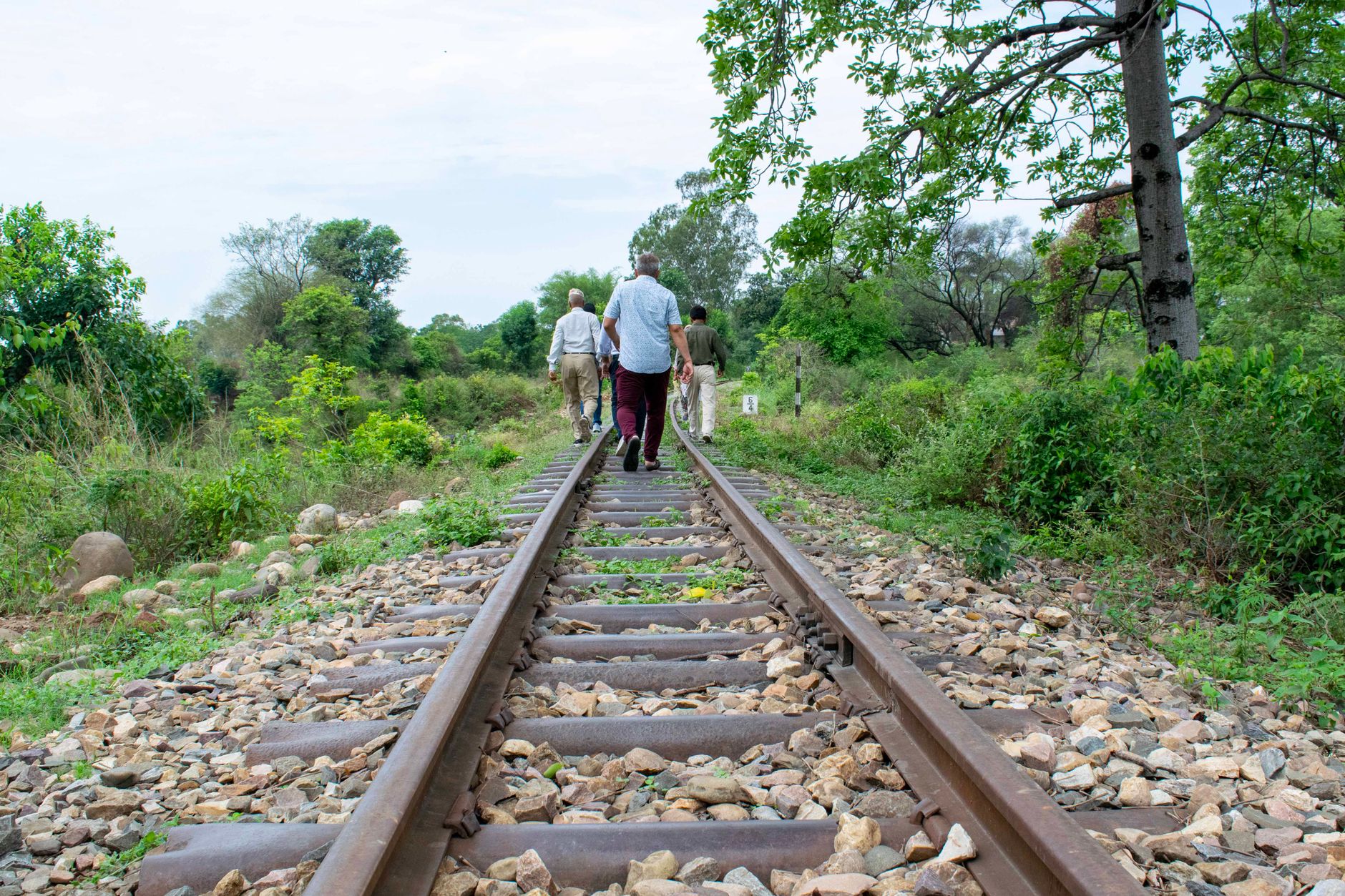 El latido del Gran Ferrocarril de la Libertad: Ingeniería, sabana y la memoria del Tazara entre Tanzania y Zambia