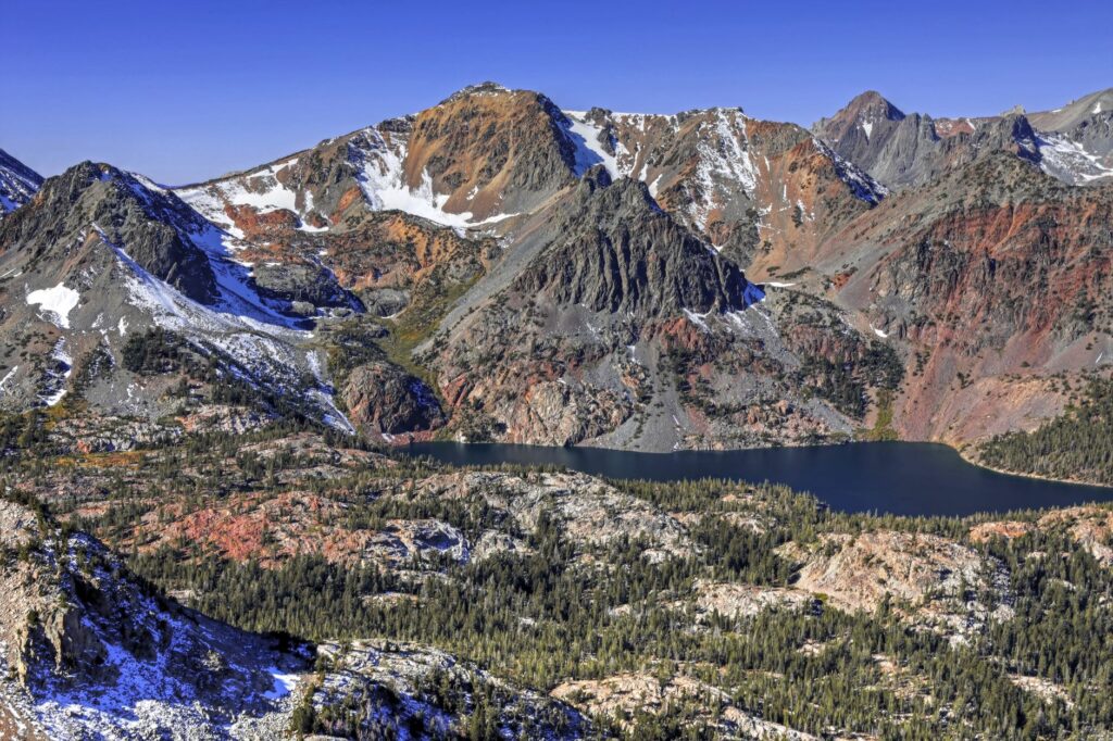 El refugio de la perdiz nival en los pedregales de Sierra Nevada: biología alpina y conservación en las cumbres béticas