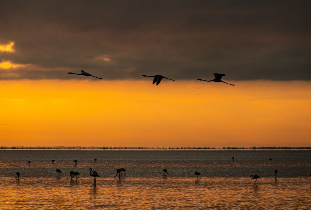 24 horas en Ayamonte, la ciudad de Huelva donde vivir uno de los mejores atardeceres de Europa