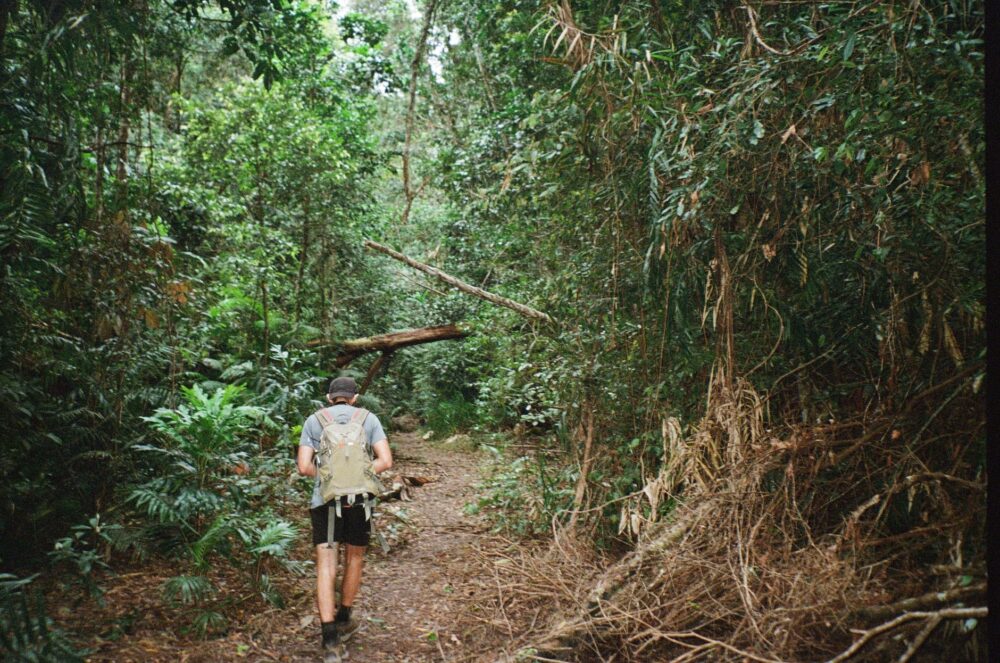 La Travesía del Sendero Bibbulmun en Australia Occidental: Guía de Expedición y Senderismo por los Bosques Milenarios del Índico