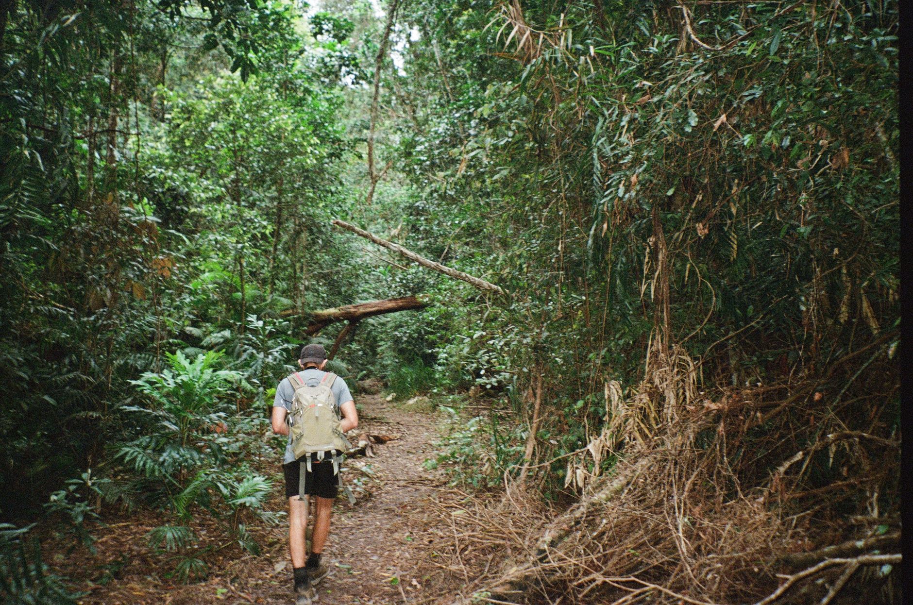 La Travesía del Sendero Bibbulmun en Australia Occidental: Guía de Expedición y Senderismo por los Bosques Milenarios del Índico
