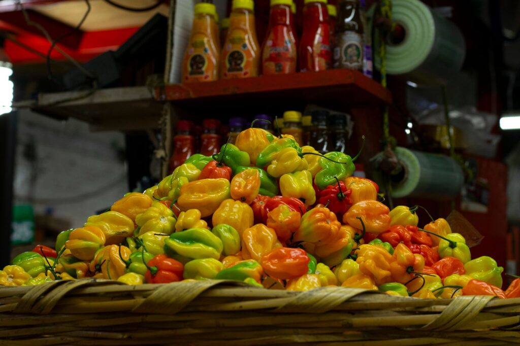 Navidad en Mauricio: Un banquete criollo bajo el sol del Índico